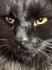 050103_クロs.jpg