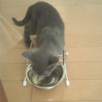 kuro6-3.jpg